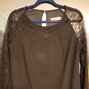 Chic Black Lace Sleeve Dress